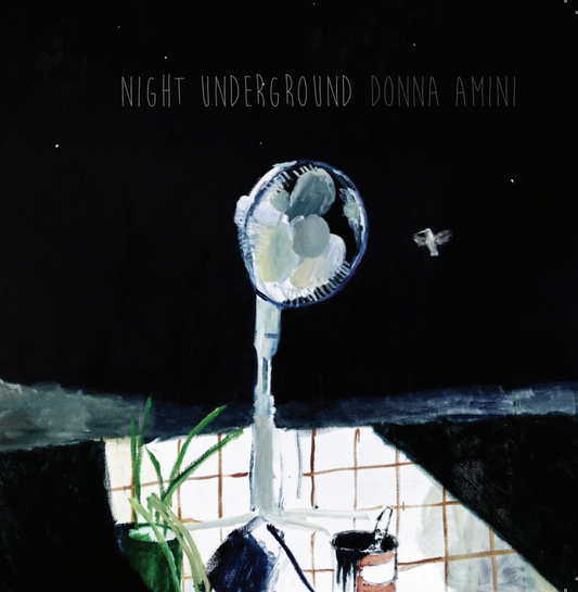 Donna Amini NIGHT UNDERGROUND (Compact Disc)